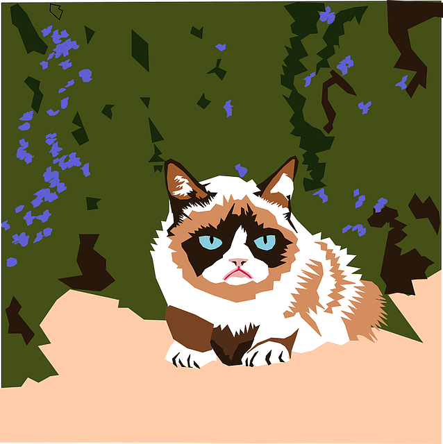 clipart issue, feline, grumpy cat clipart issue, feline, grumpy cat