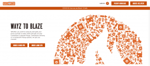 Top Blaze Pizza Coupon & Promo Code