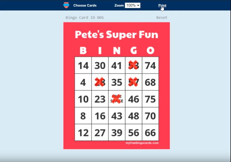 Online Bingo