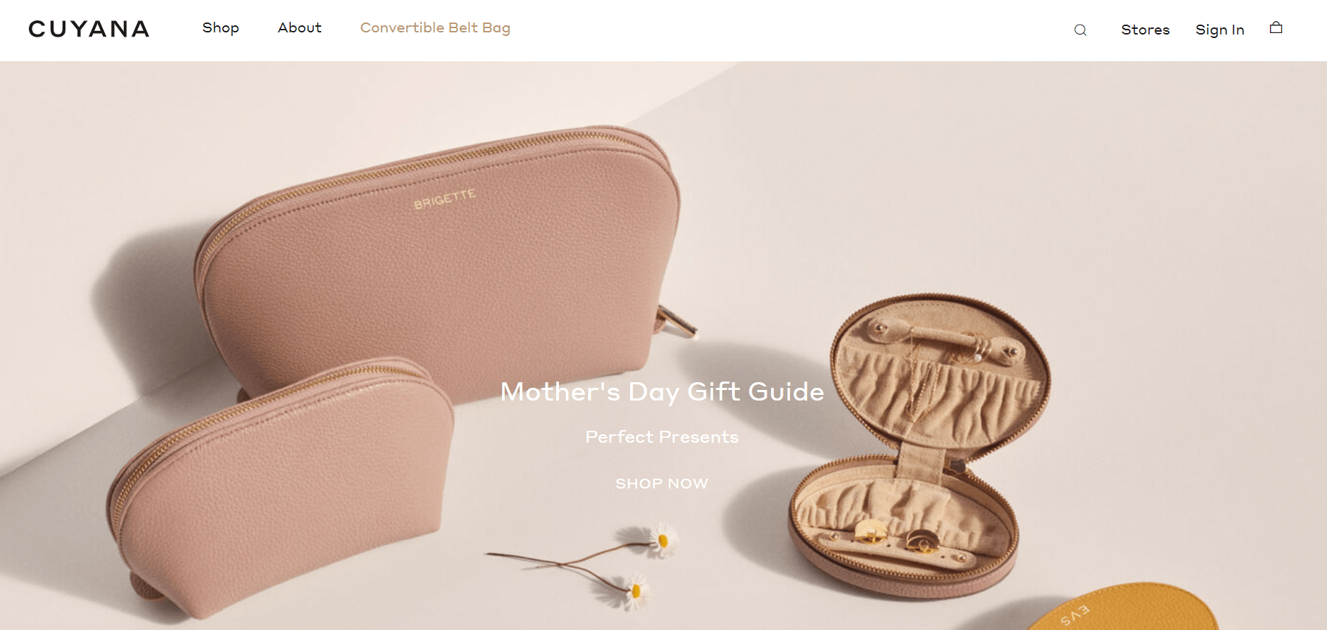Top Cuyana Promo Code & Coupons