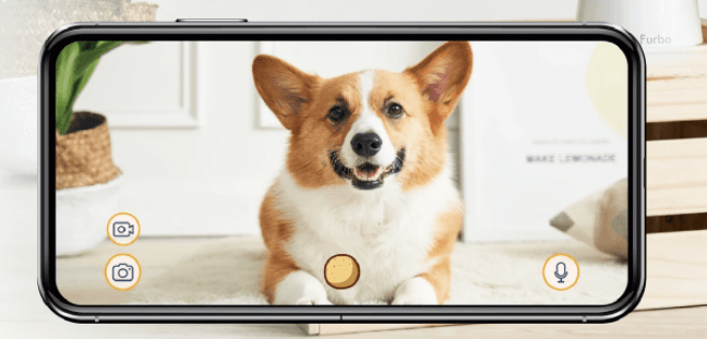 furbo dog camera black friday