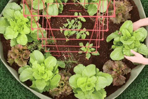 gardener's edge