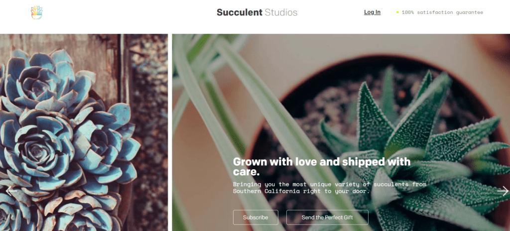 succulent studios