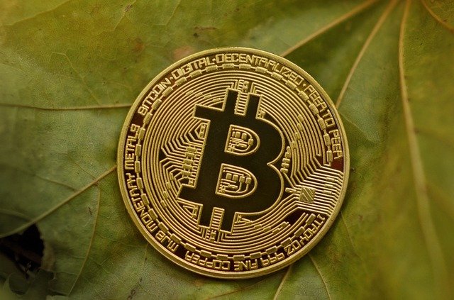 bitcoin, cryptocurrency, coin bitcoin, cryptocurrency, coin